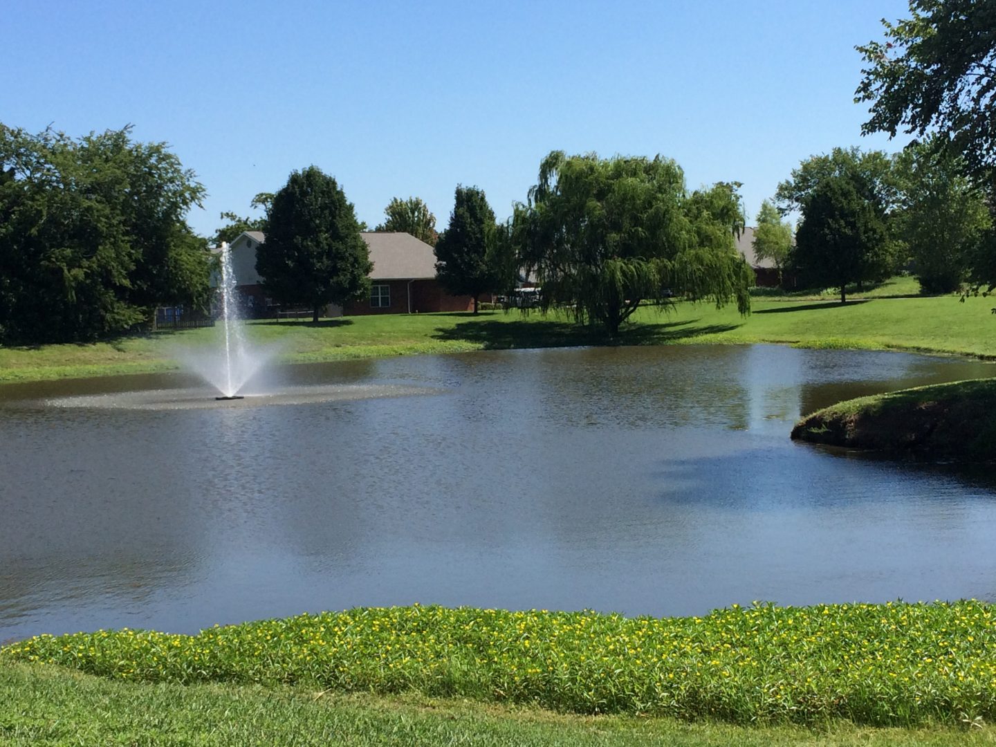 Redwood Garden Estates Bell Management