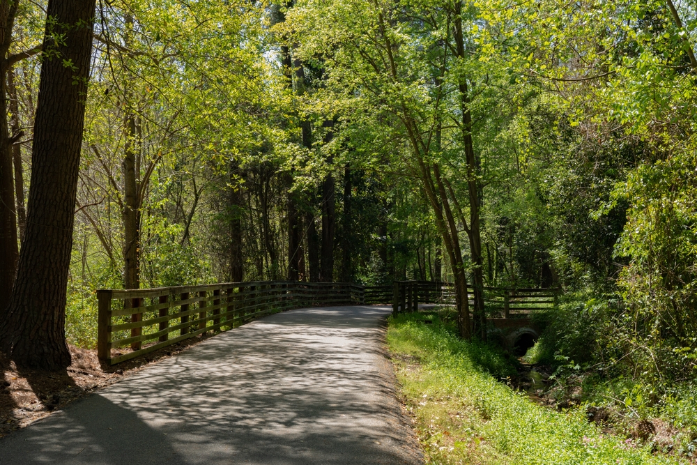 Wooded Path