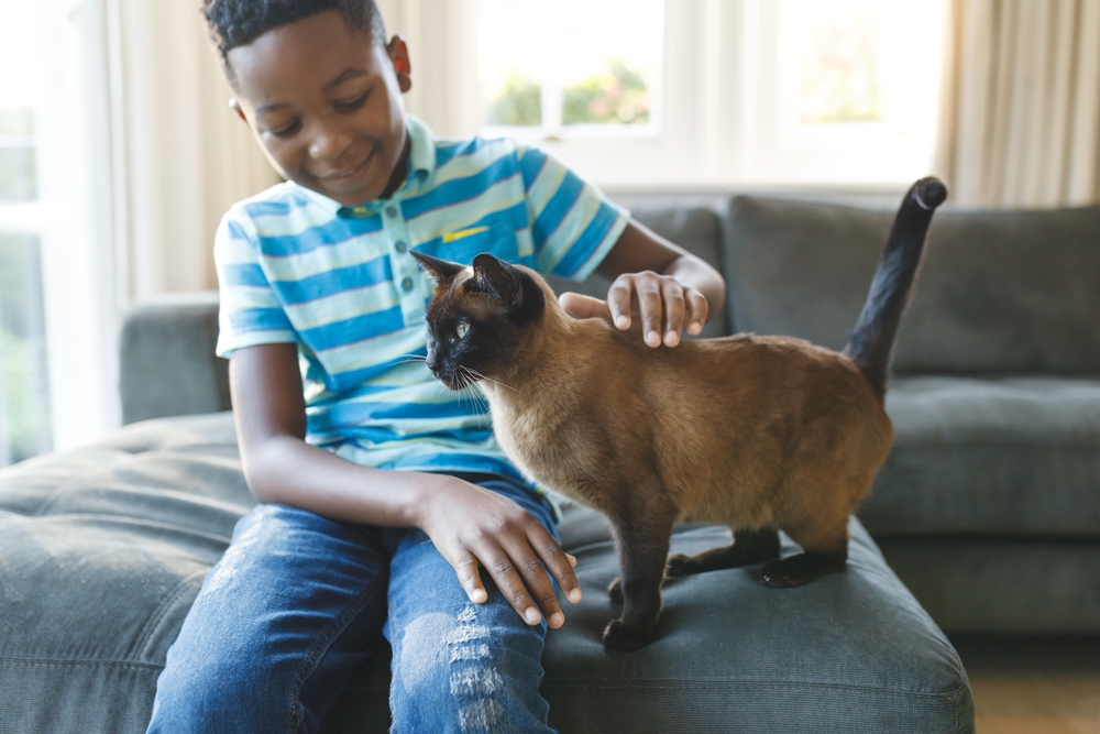 Child with cat in a pet-friendly apartment