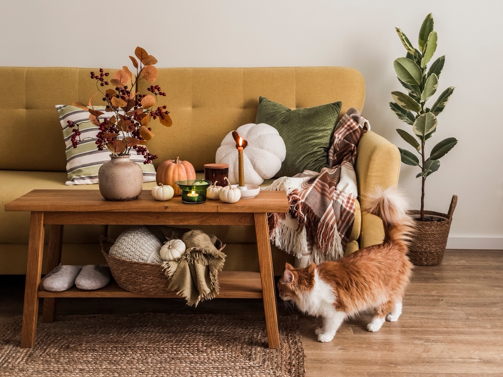 Cat in an apartment decorated for fall